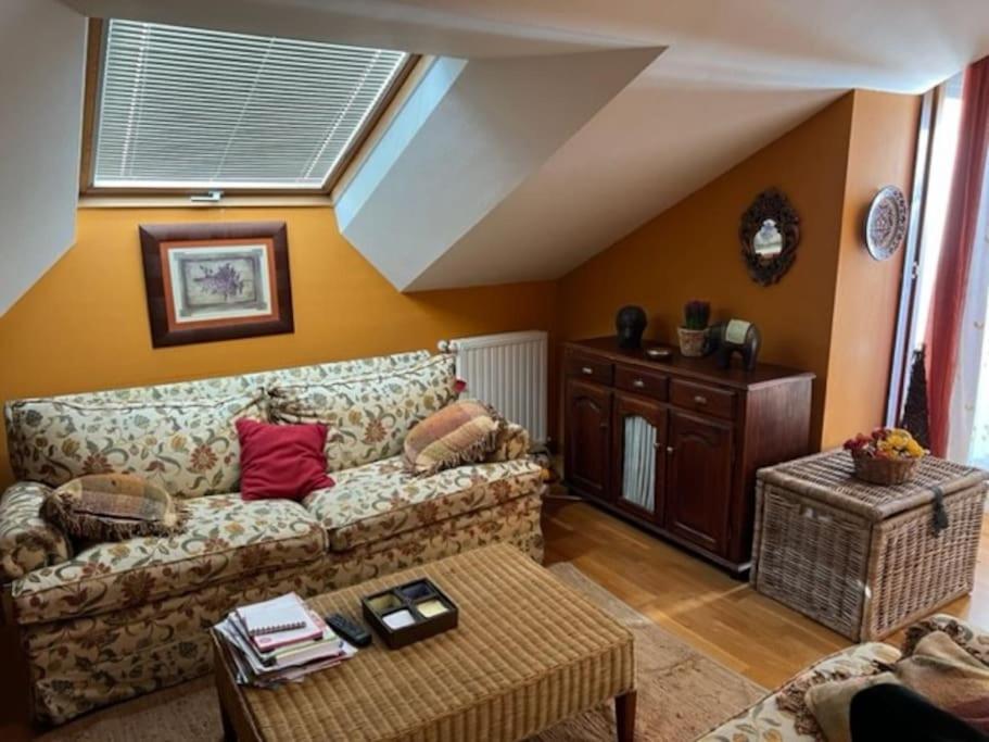 Atractivo Atico 2 Habitaciones 比利亚维西奥萨 外观 照片