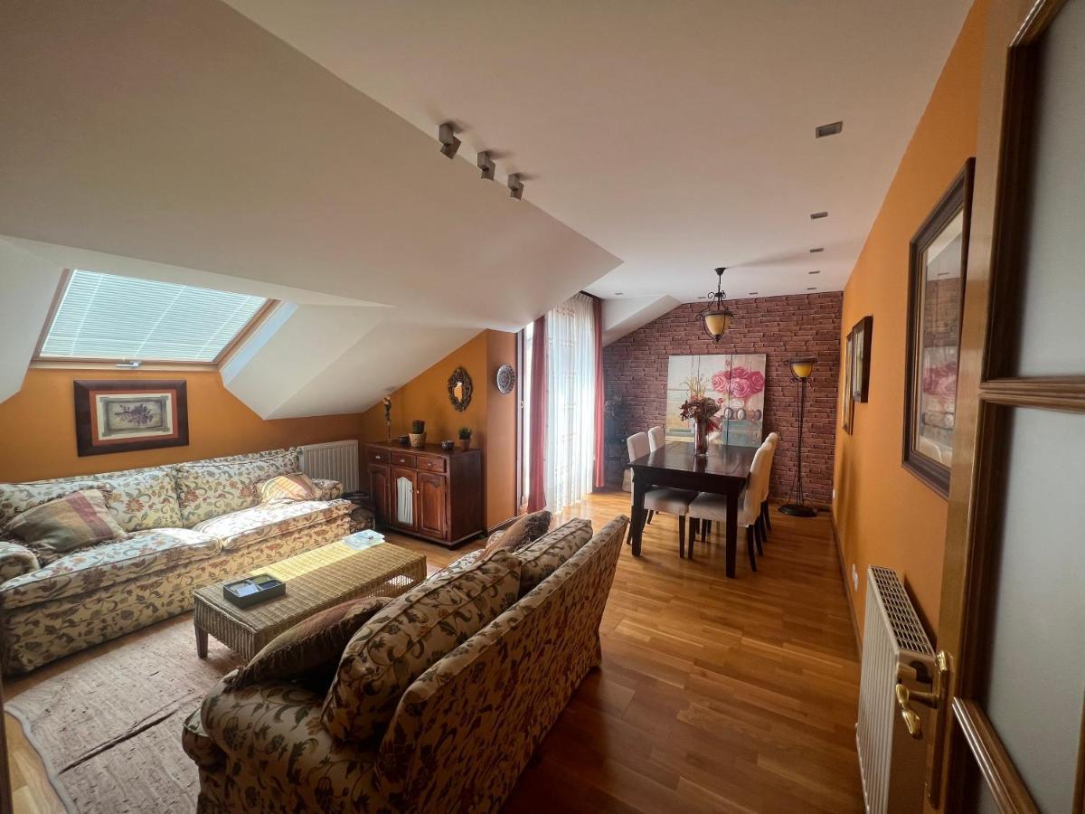 Atractivo Atico 2 Habitaciones 比利亚维西奥萨 外观 照片